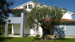 Apartments Villa Ulivo - Apartment Sol